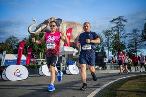 BIB: 
                            <button type="button" onclick="openModal(26541771)" class="btn btn-primary btn-sm float-right btn-popup" data-toggle="modal" data-target=".modal-high-quality">
                        <i class="fas fa-shopping-cart"></i> Add to Cart
                    </button>
                                            <button type="button" onclick="isThisMe(26541771, true)" class="btn btn-success btn-sm float-right btn-popup btn-isme hidden" data-toggle="tooltip" data-placement="bottom" title="นี่คือรูปของคุณใช่ไหม คลิกที่นี่เพื่อเอาเข้าอัลบั้ม">
                        <i class="fas fa-plus"></i> Add to album
                    </button>
                    <button type="button" onclick="isThisMe(26541771, false)" class="btn btn-warning btn-sm float-right btn-popup btn-isnotme hidden">
                        <i class="fas fa-ban"></i> Remove from album
                    </button>